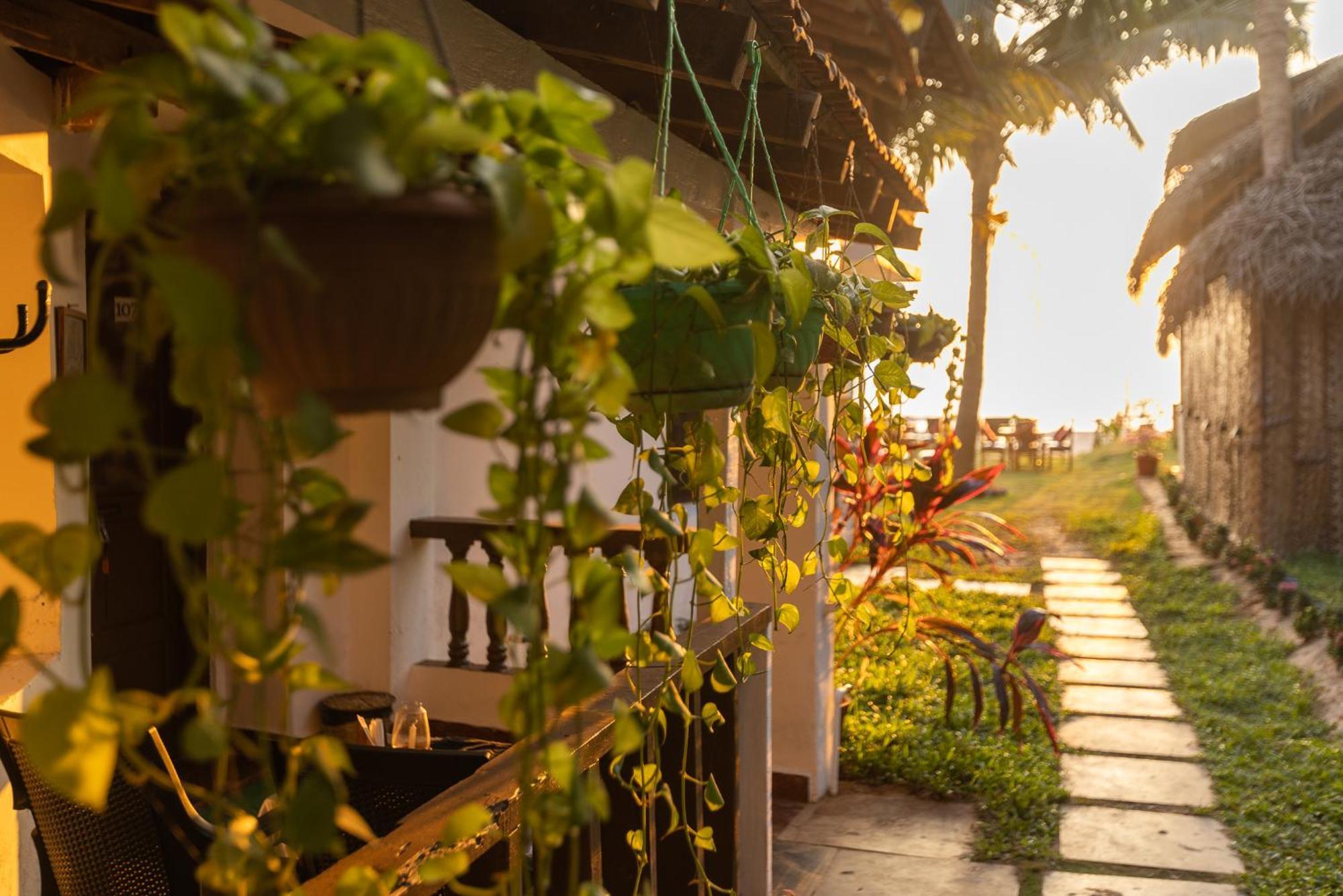 Forget Me Not Resort Agonda Extérieur photo